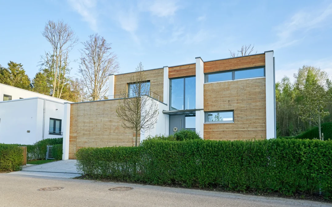 HOLZHAUS VS. STEINHAUS